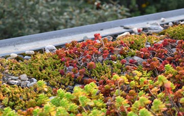 the cost of Rhondda Cynon Taf green roof installation